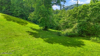 Butcher Lane, Rocky Top, TN 37769 $84,900 featured photo 10