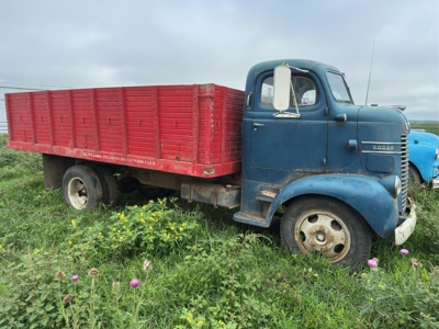 Richard and Imagene Caywood Estate Auction #1 featured photo 11
