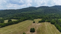 315+/- Acres For Sale in Sparta, TN Offered in 16 Tracts with 2 Homes, Creek Frontage, Outbuildings, Cave - AUCTION August 16th featured photo 3