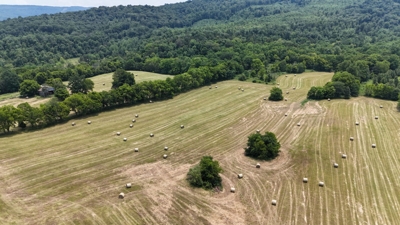 315+/- Acres For Sale in Sparta, TN Offered in 16 Tracts with 2 Homes, Creek Frontage, Outbuildings, Cave - AUCTION August 16th featured photo 4