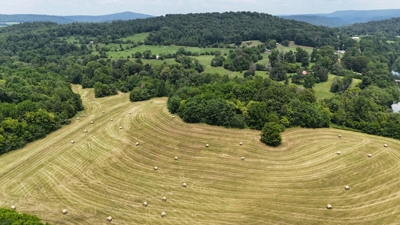 315+/- Acres For Sale in Sparta, TN Offered in 16 Tracts with 2 Homes, Creek Frontage, Outbuildings, Cave - AUCTION August 16th featured photo 5