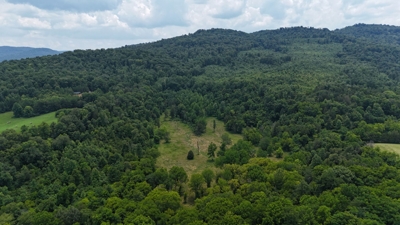 315+/- Acres For Sale in Sparta, TN Offered in 16 Tracts with 2 Homes, Creek Frontage, Outbuildings, Cave - AUCTION August 16th featured photo 7