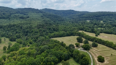 315+/- Acres For Sale in Sparta, TN Offered in 16 Tracts with 2 Homes, Creek Frontage, Outbuildings, Cave - AUCTION August 16th featured photo 8