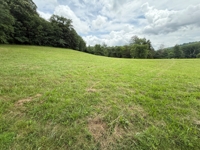 Sprawling Ranch Style Retreat on 24.43+/-Acres  - 4 BR, 2 Full and 2 Half Baths featured photo 9