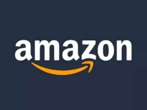 Amazon Semi Load Auction-3126 featured photo