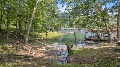 237 Blue Ridge Rd, Speedwell, TN 37870 $199,900 featured photo 6