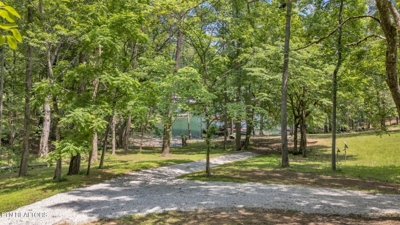 237 Blue Ridge Rd, Speedwell, TN 37870 $199,900 featured photo 7