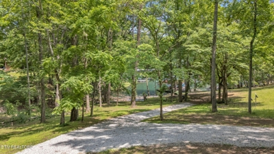 237 Blue Ridge Rd, Speedwell, TN 37870 $199,900 featured photo 8