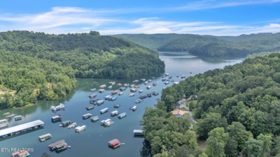 237 Blue Ridge Rd, Speedwell, TN 37870 $199,900 featured photo 12