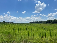SELLING ABSOLUTE! 33+/- Acres Offered in 5 Tracts ranging from 3+/- AC to 10+/- AC Each - Barns, 5 Ponds and 2 Old Homesteads - ESTATE AUCTION August 2nd featured photo 6