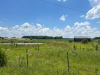SELLING ABSOLUTE! 33+/- Acres Offered in 5 Tracts ranging from 3+/- AC to 10+/- AC Each - Barns, 5 Ponds and 2 Old Homesteads - ESTATE AUCTION August 2nd featured photo 4