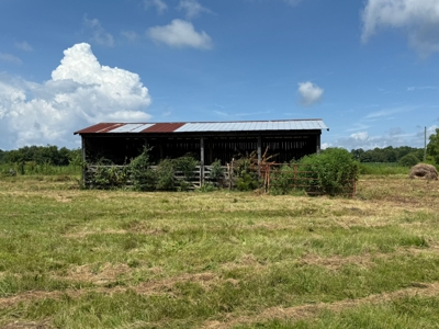SELLING ABSOLUTE! 33+/- Acres Offered in 5 Tracts ranging from 3+/- AC to 10+/- AC Each - Barns, 5 Ponds and 2 Old Homesteads - ESTATE AUCTION August 2nd featured photo 9
