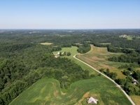 House & 22.5 +/- Acres at Absolute Live/Online Auction featured photo 12