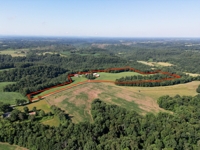House & 22.5 +/- Acres at Absolute Live/Online Auction featured photo 1
