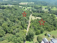 12 Acres near Norris Lake featured photo 4
