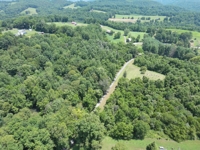 12 Acres near Norris Lake featured photo 5