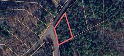 Weiss Lakefront Retreat – 1.92± acres with Home | Waterfront, Residential, and Recreation Lots in Cherokee County, AL | Absolute Estate Auction featured photo 9