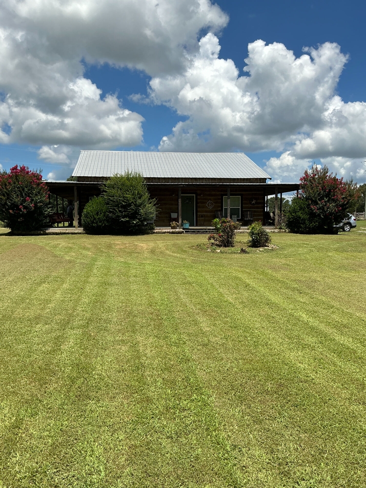 Terry Butler Horse Farm featured photo 1