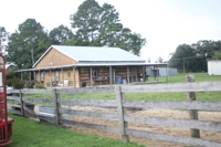 Terry Butler Horse Farm featured photo 10