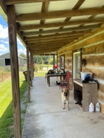 Terry Butler Horse Farm featured photo 11