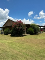 Terry Butler Horse Farm featured photo 2