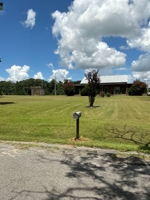 Terry Butler Horse Farm featured photo 3