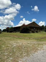 Terry Butler Horse Farm featured photo 5