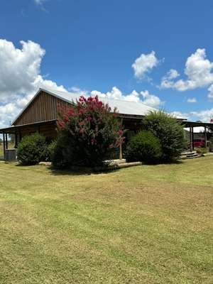 Terry Butler Horse Farm featured photo 2