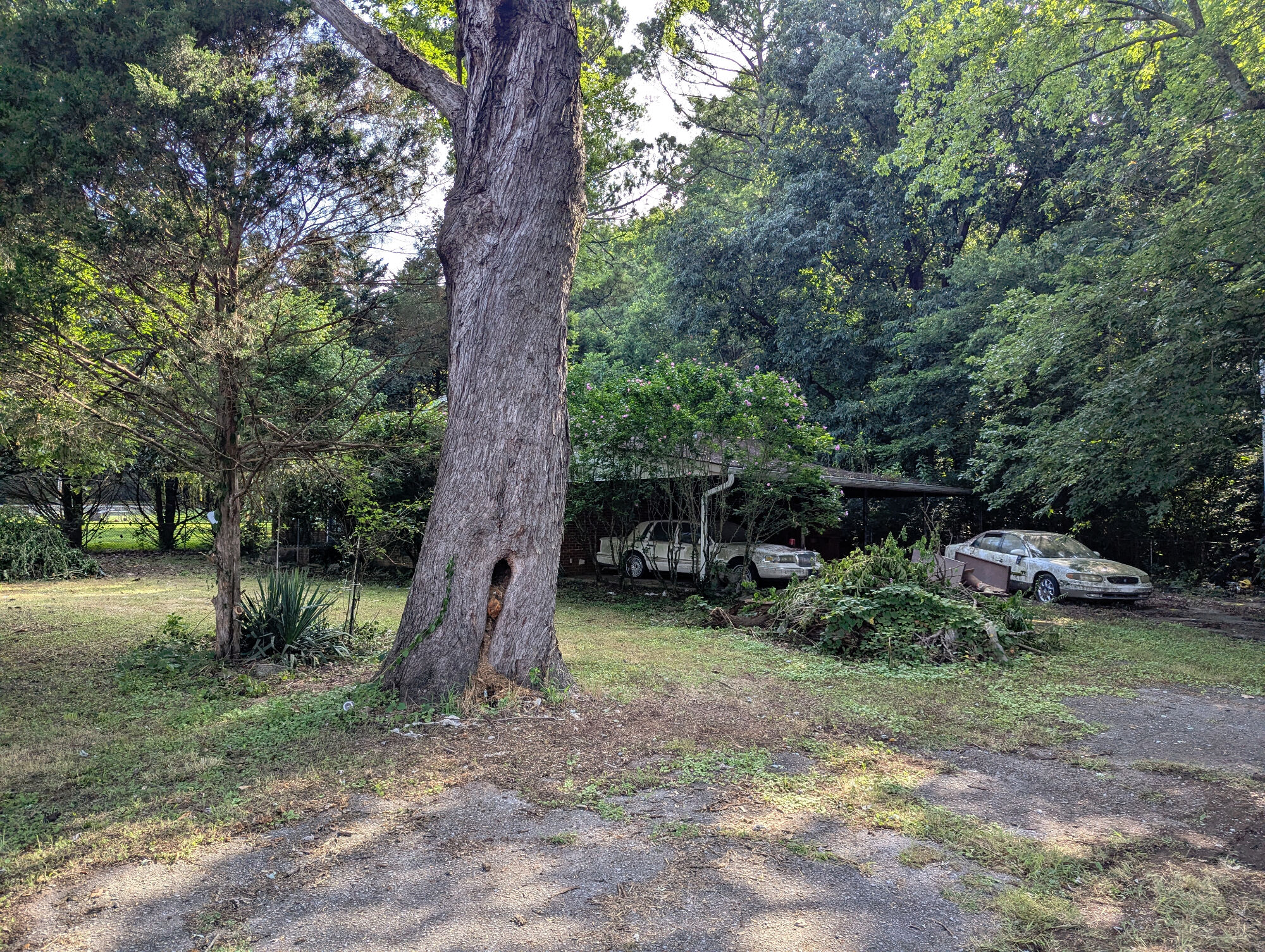 Estate Auction:  3-Bedroom Brick Home & Shop Building On 1 Acre± featured photo 6