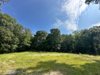 89 Acres in Tracts & Combinations - Smokey Rd, Alabaster, Alabama featured photo 1