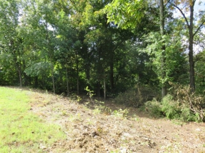 Online Real Estate Auction - Vacant Lot, Chapel Hill Rd, Columbia featured photo 10